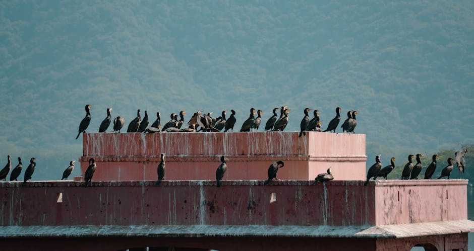 旅遊保險:保障旅程中的安心與安全